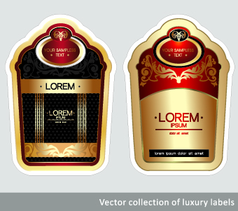 luxury vintage label vector