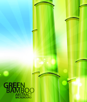 vector bamboo design elements background