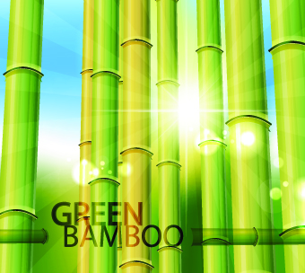 vector bamboo design elements background