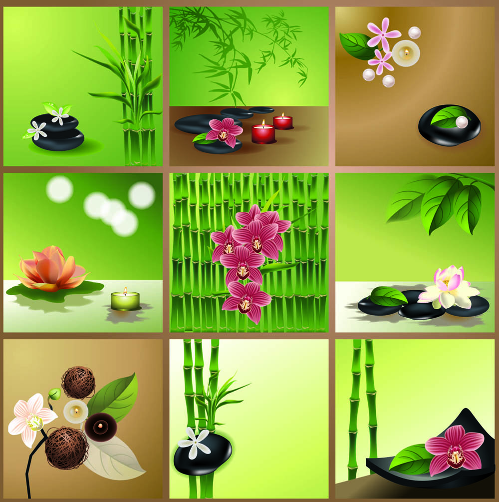 bright bamboo design elements