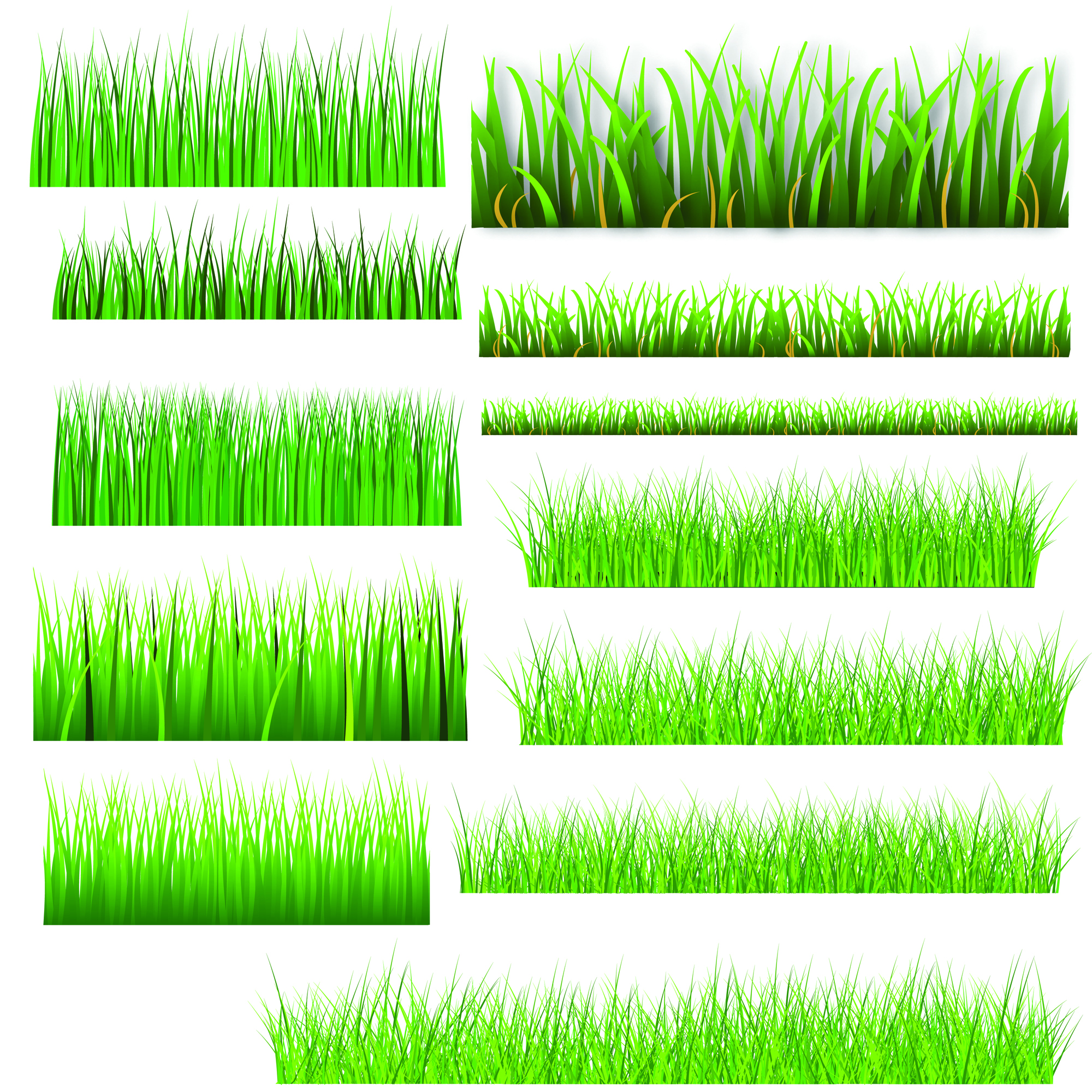 vector green grass elements set