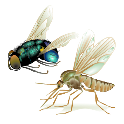 fly design elements vector graphic