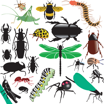 different insects design vector