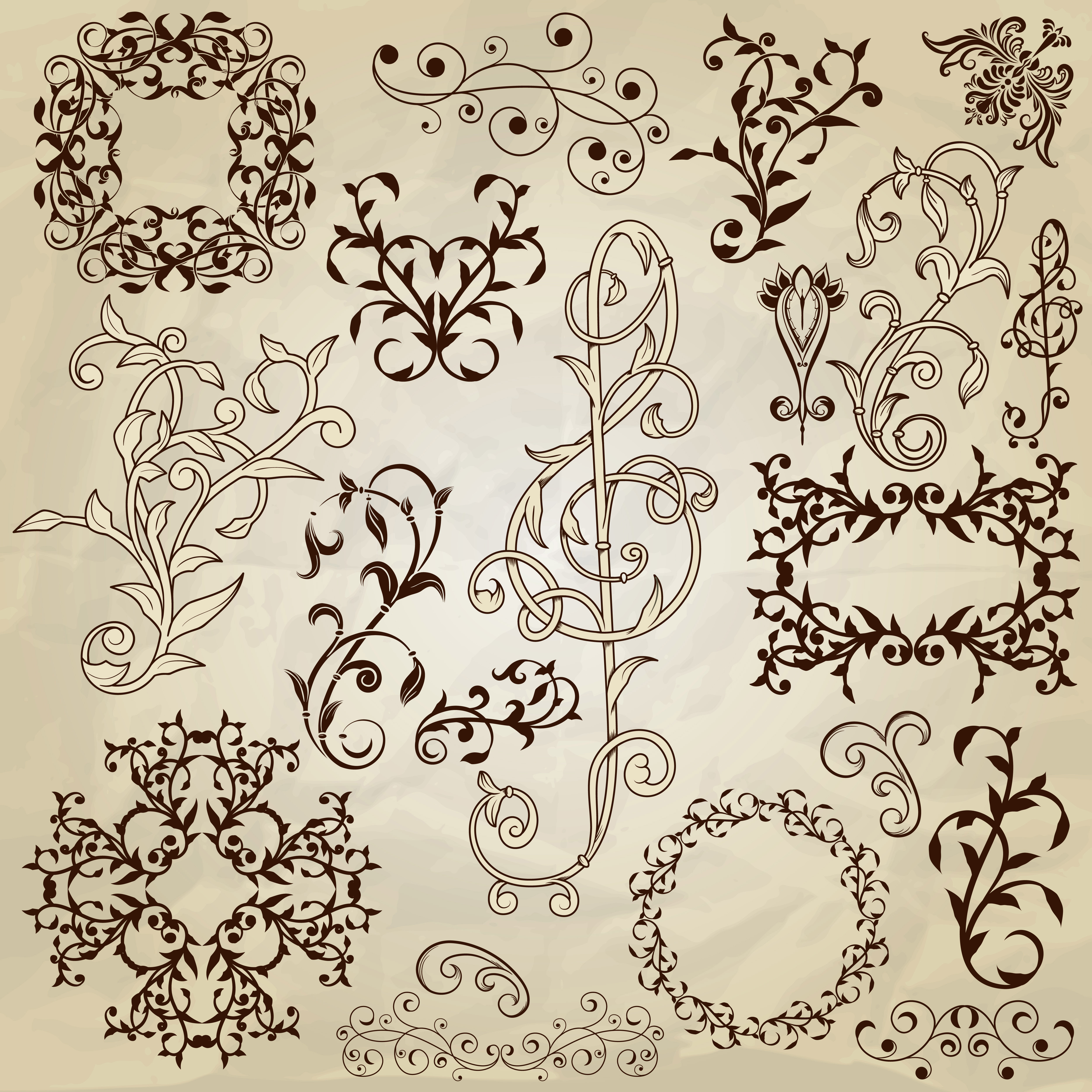 vintage floral accessories and borders vector