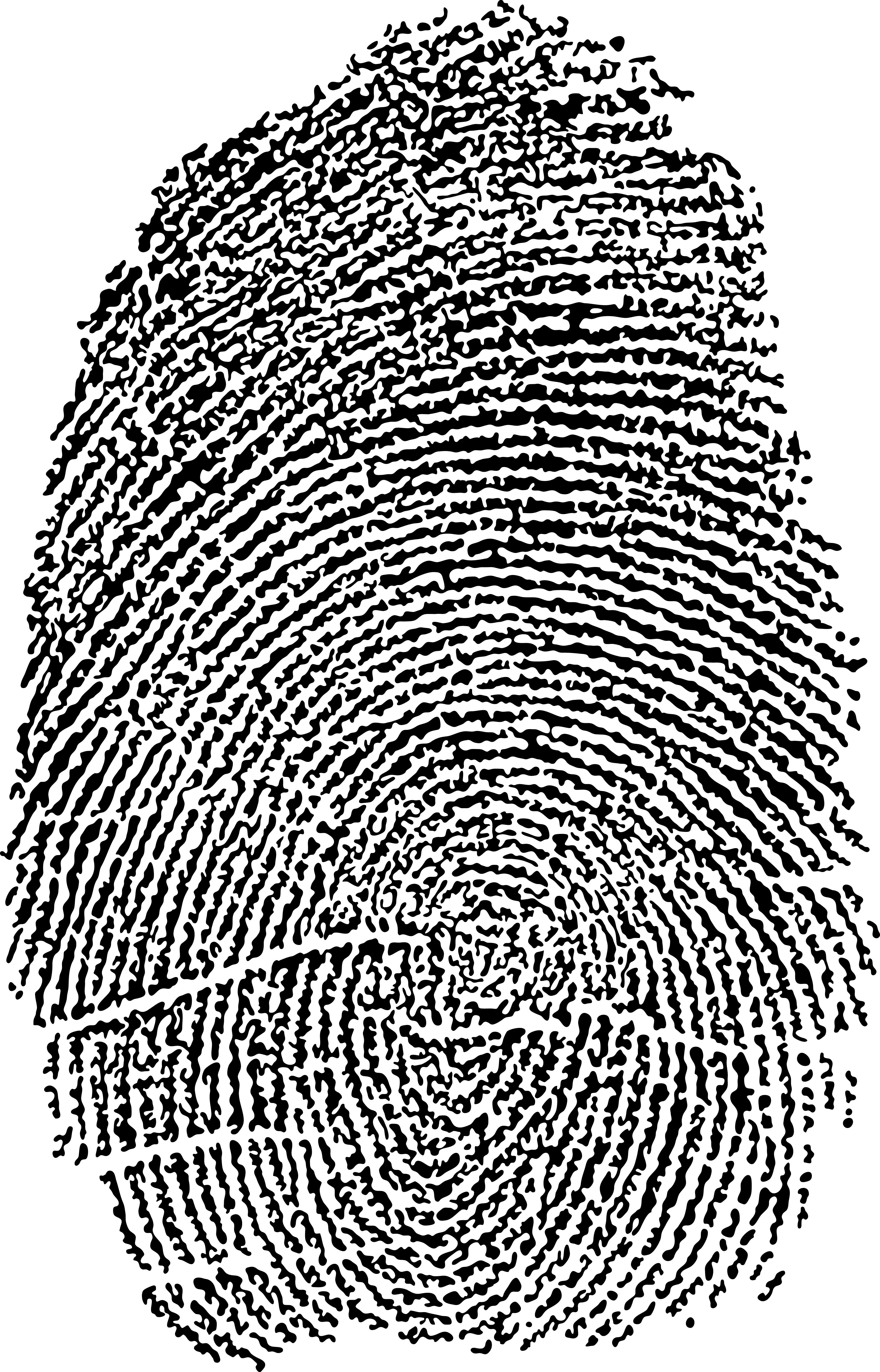 different fingerprints design elements vector