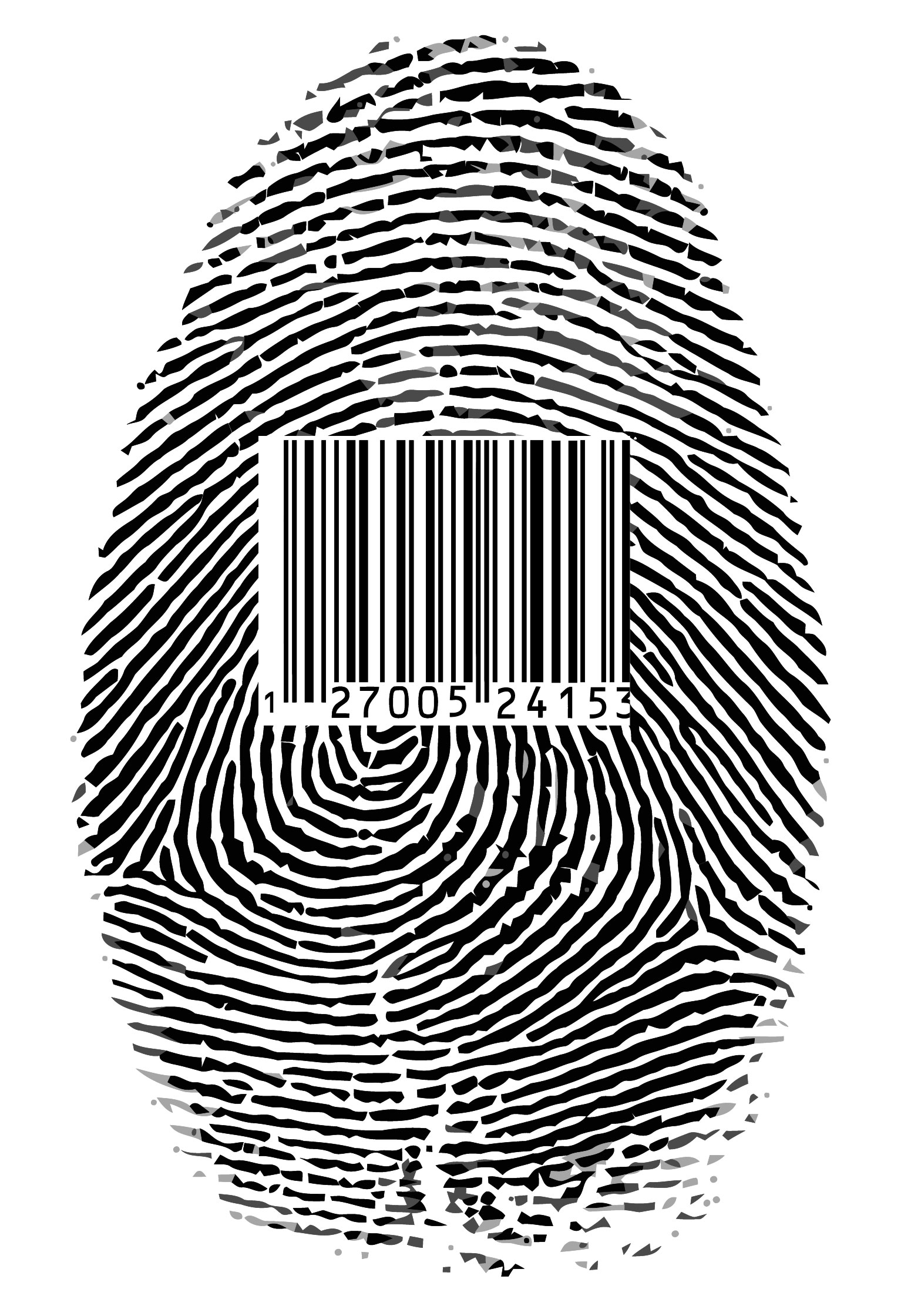 different fingerprints design elements vector