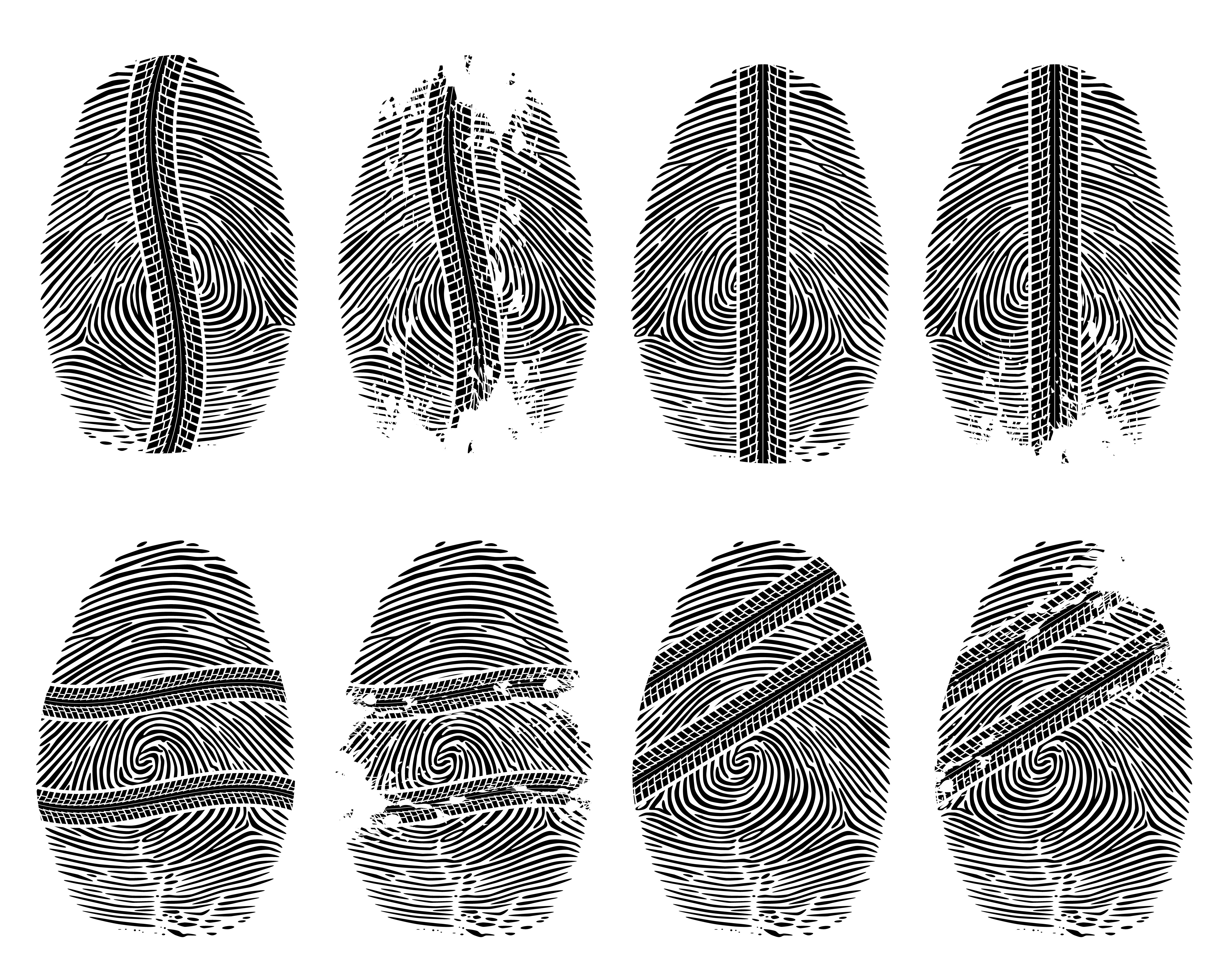 different fingerprints design elements vector