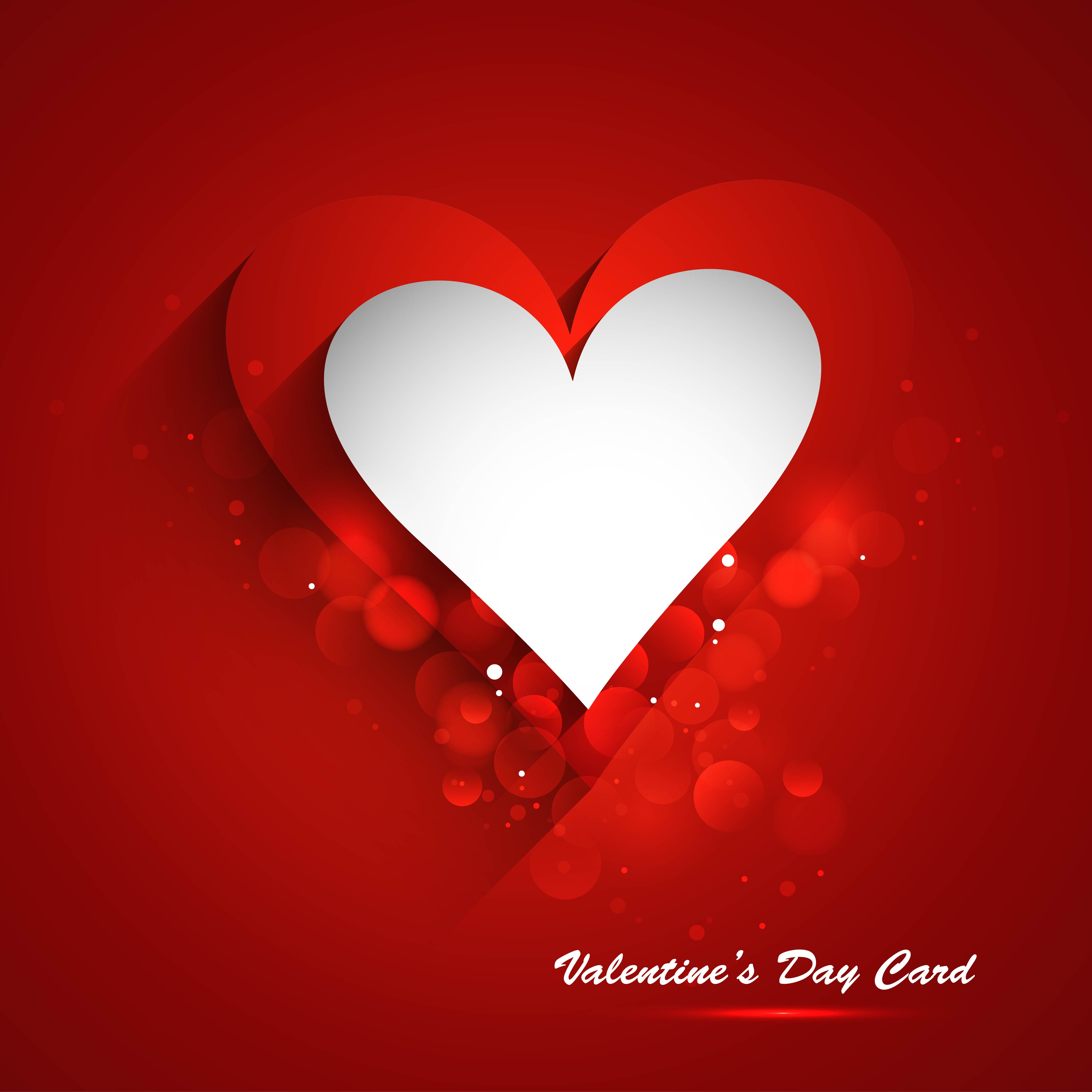 stylish valentine day card element vector