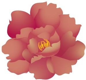 vivid flower vector graphic