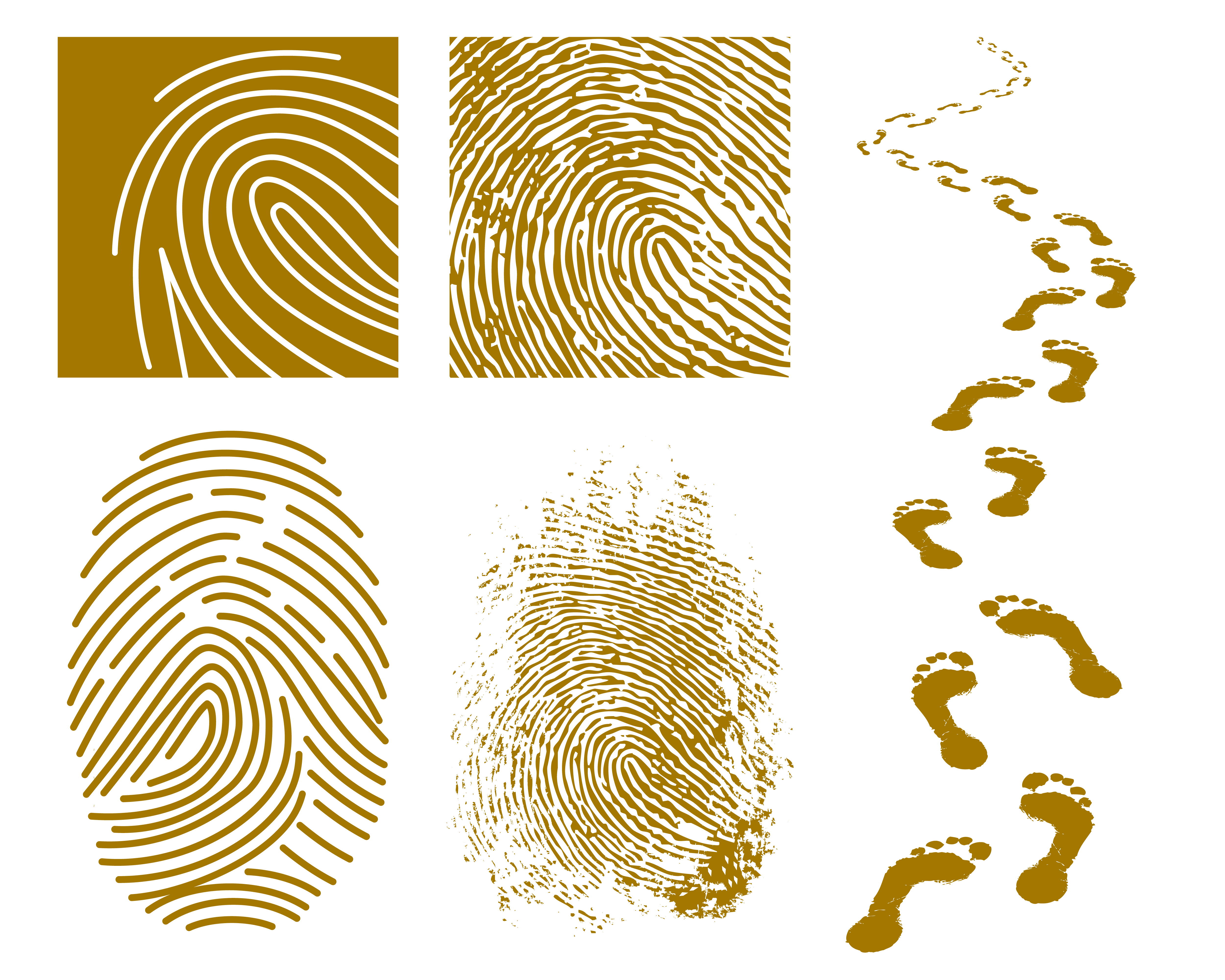 different fingerprints design elements vector