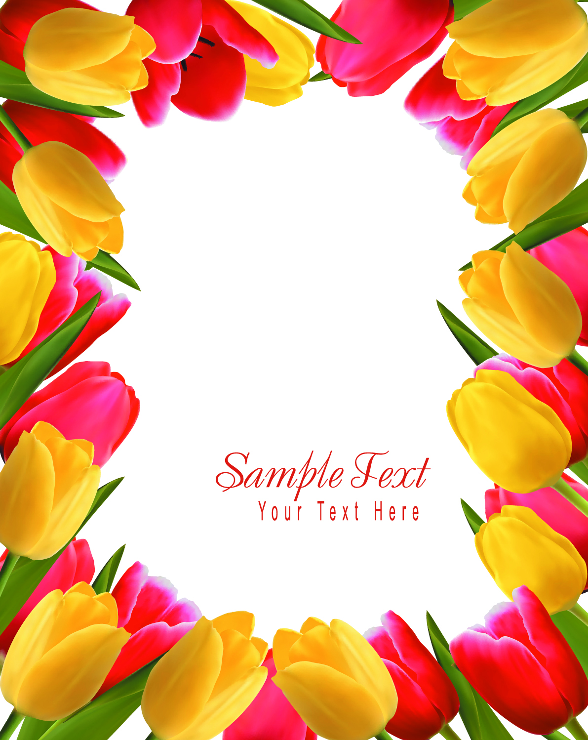 set of color tulips cards design vector