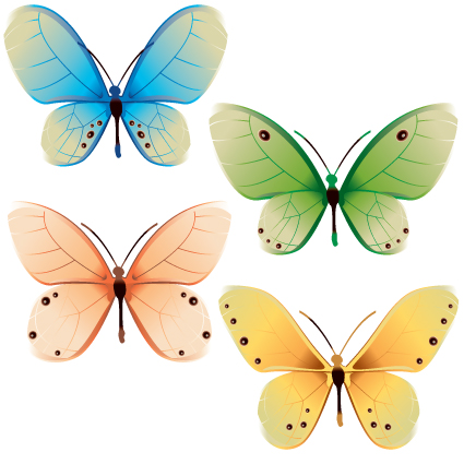 beautiful butterflies design elements vector