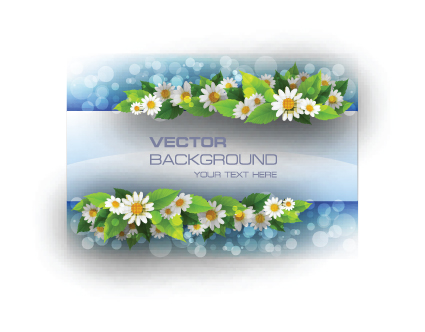 beautiful flowers frame backgrounds vector