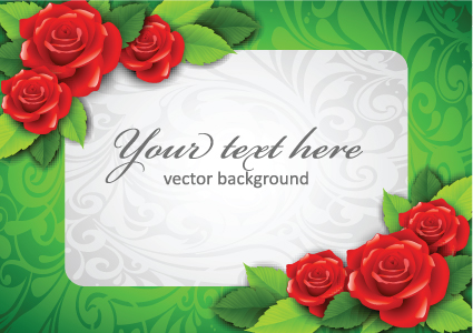 beautiful flowers frame backgrounds vector