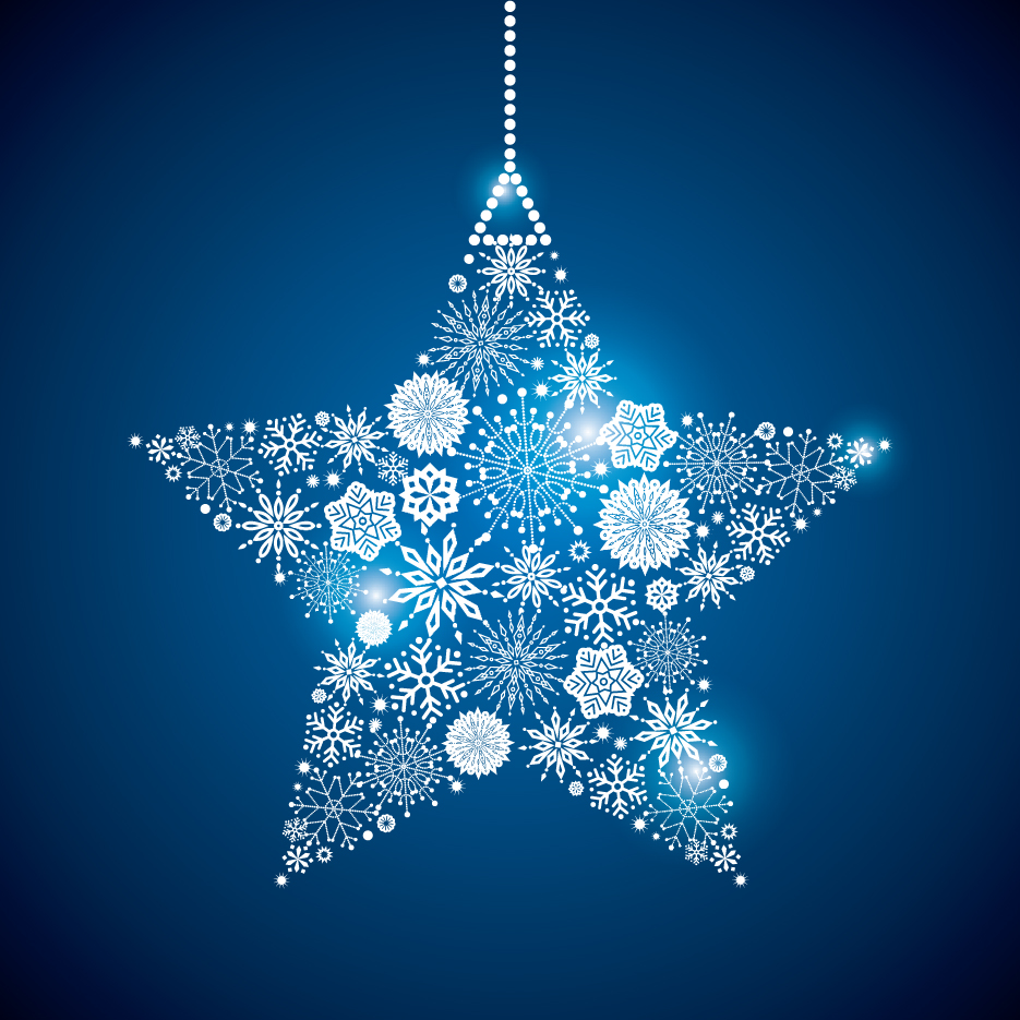 shining snowflakes ornaments design vector graphics