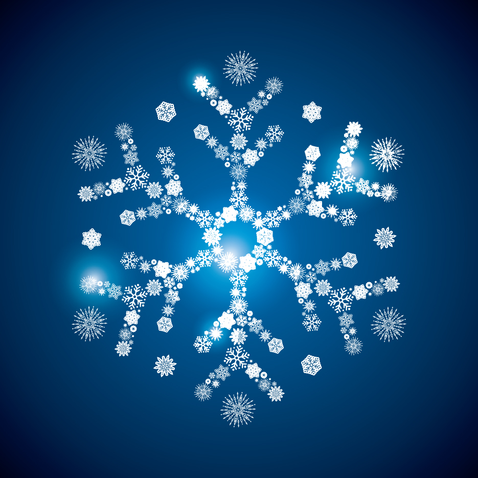 shining snowflakes ornaments design vector graphics