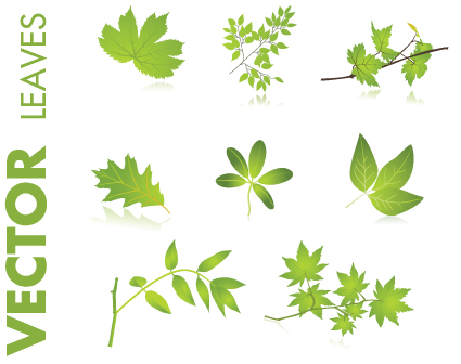 set of creative ecology labels vector graphics