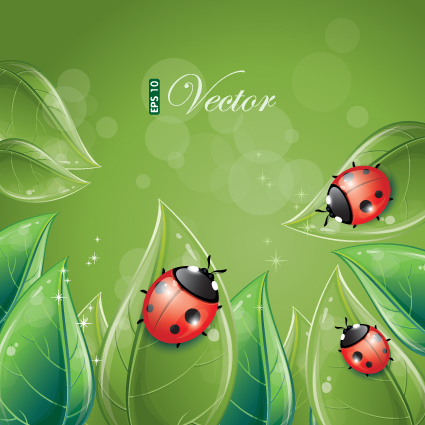 vivid insects design element vector