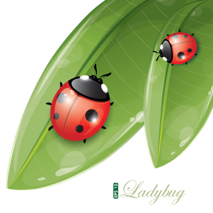 vivid insects design element vector