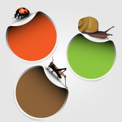 vivid insects design element vector