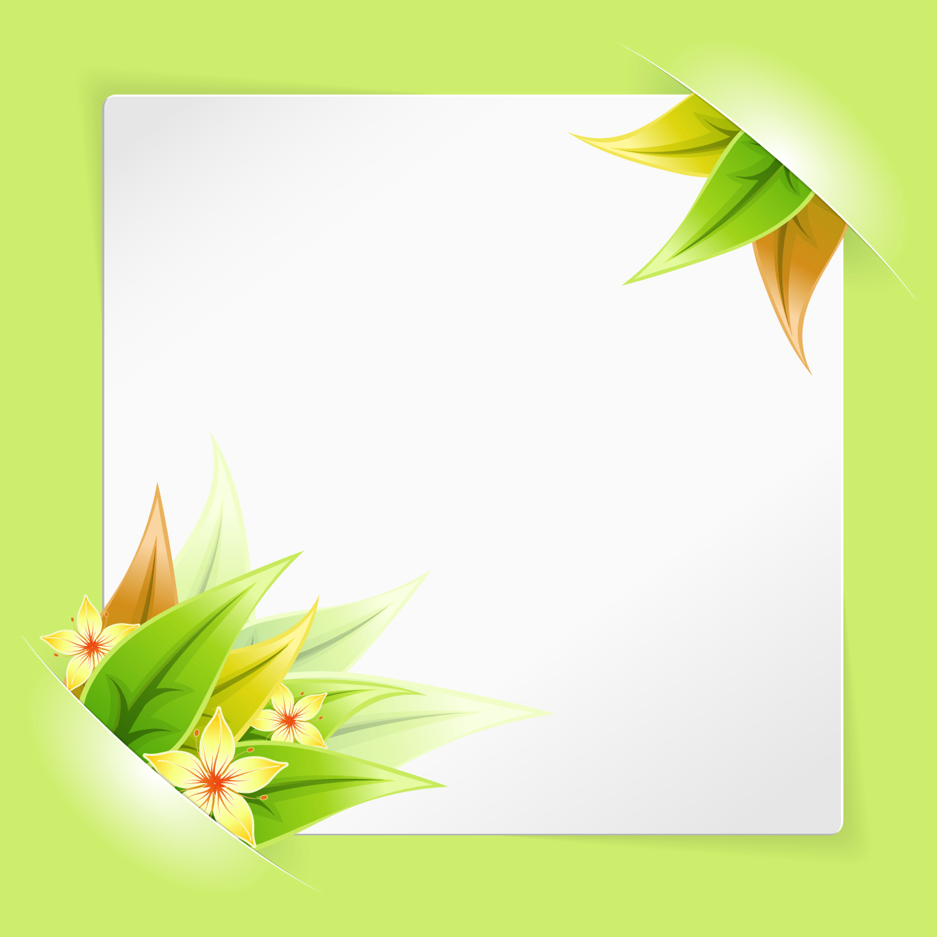 white blank paper design vector