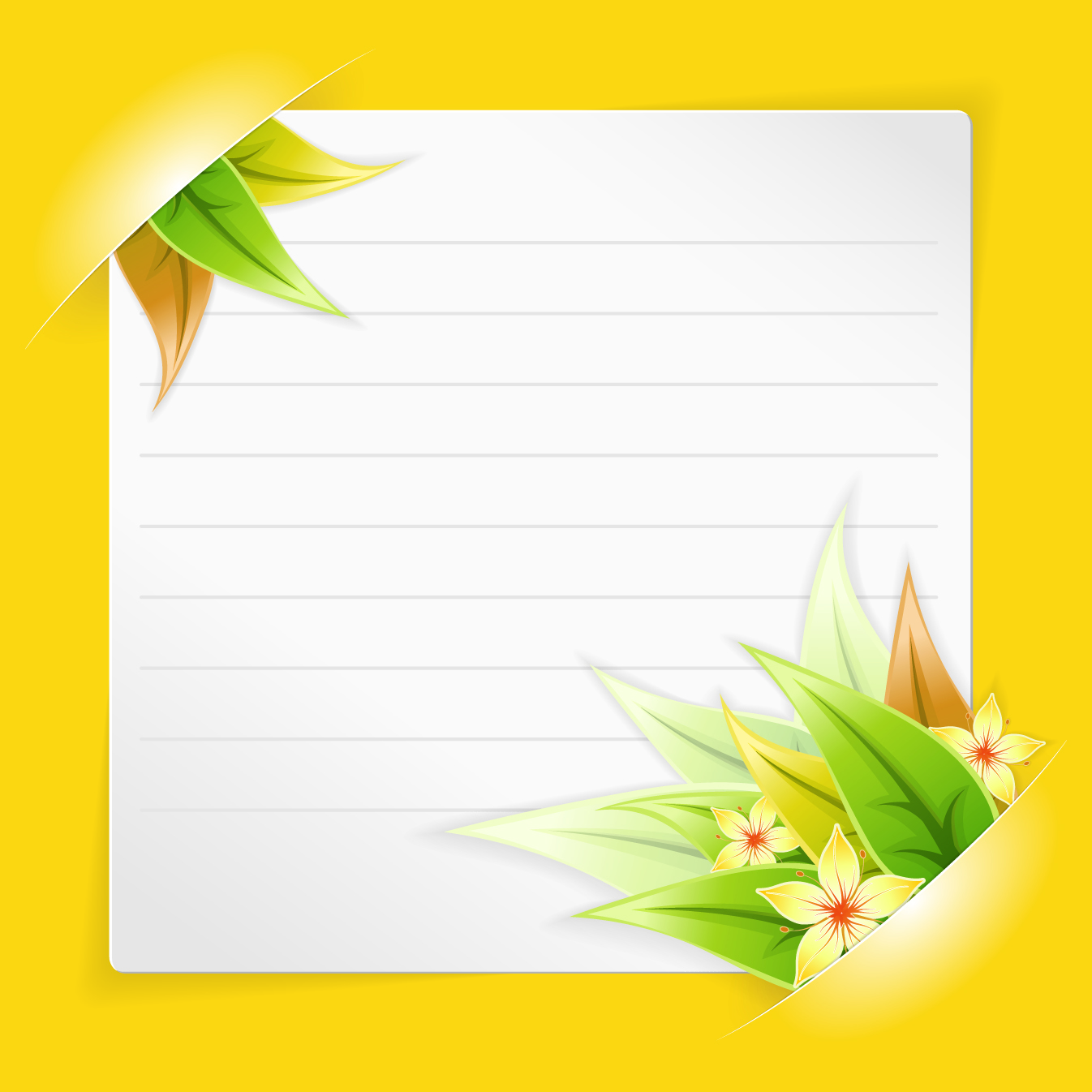 white blank paper design vector