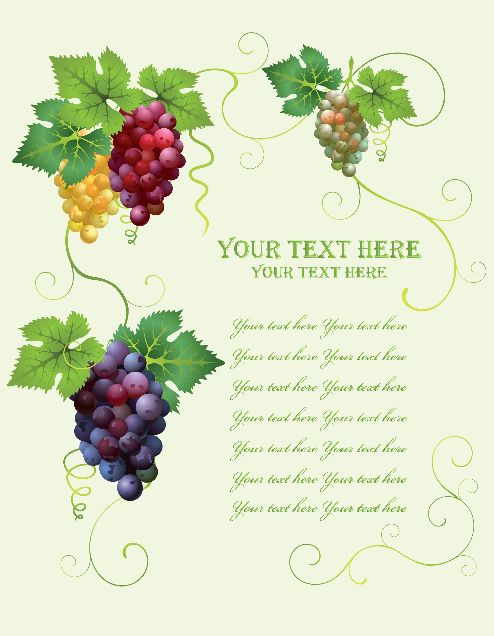 retro style grape wine background vector