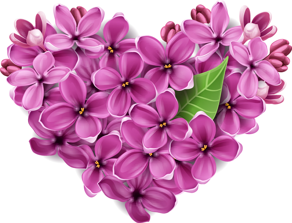 vector flowers heart design elements