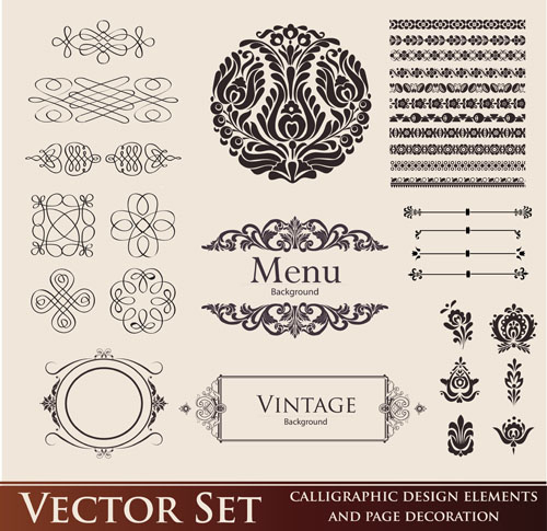 vintage calligraphic and decoration borders vector