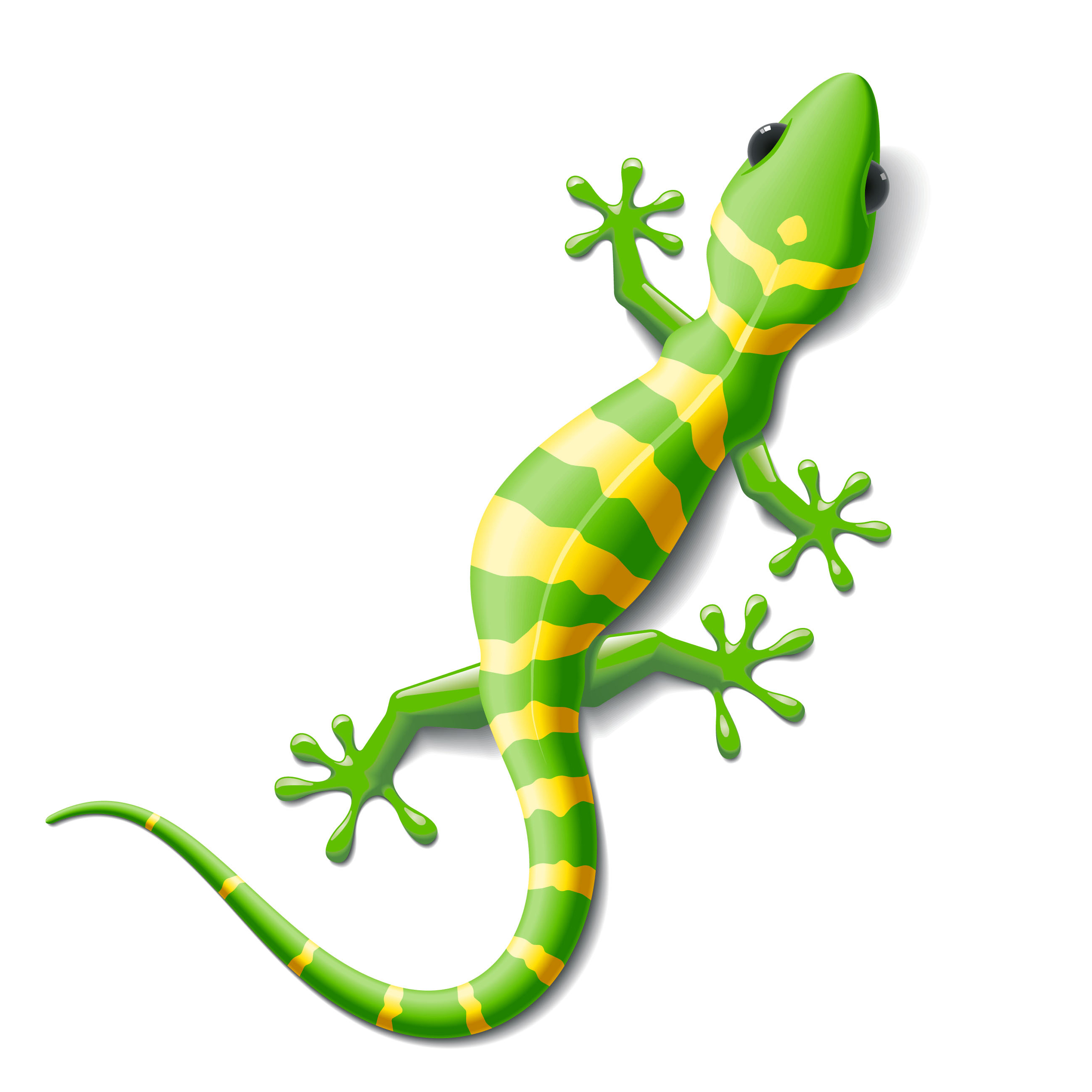 set of vivid cute chameleon vector