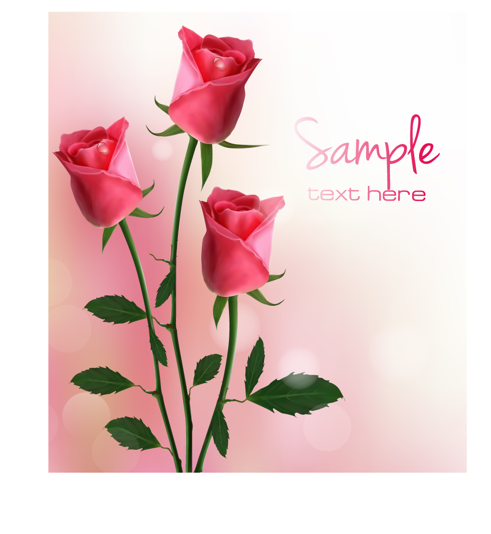 set of pretty rose elements vector