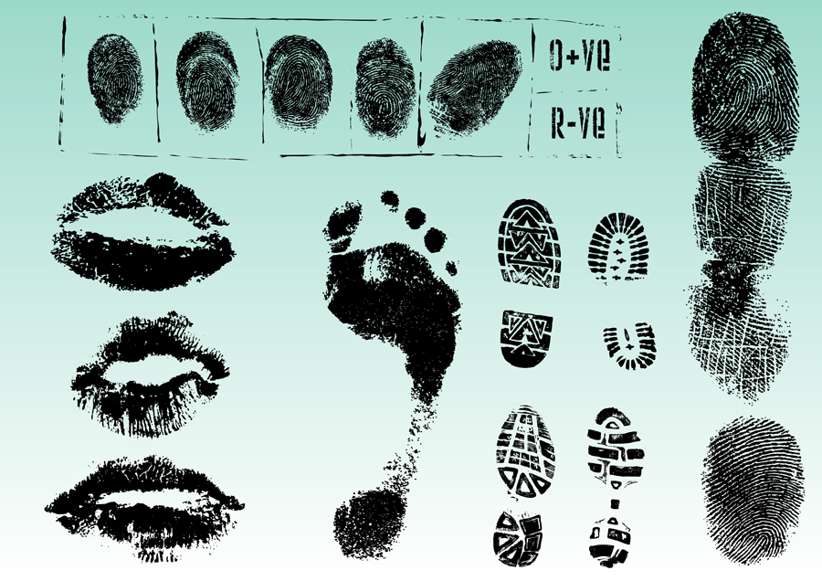 set of fingerprint identification vector