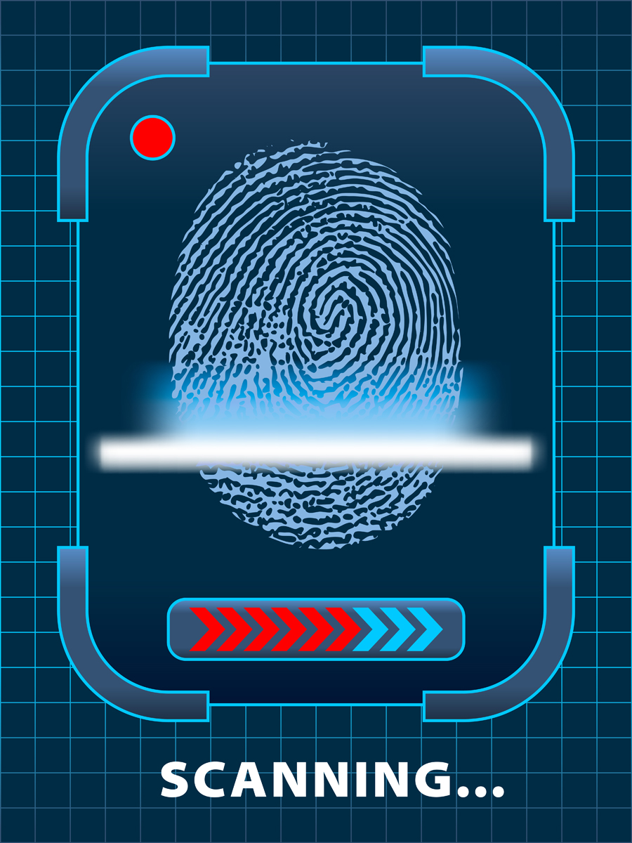 set of fingerprint identification vector