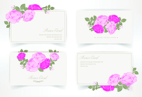 pink rose with card vector design graphic