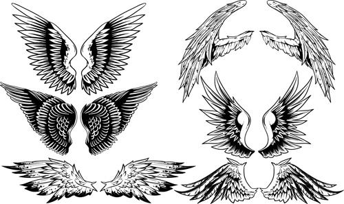 vintage wings design vector set