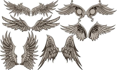 vintage wings design vector set