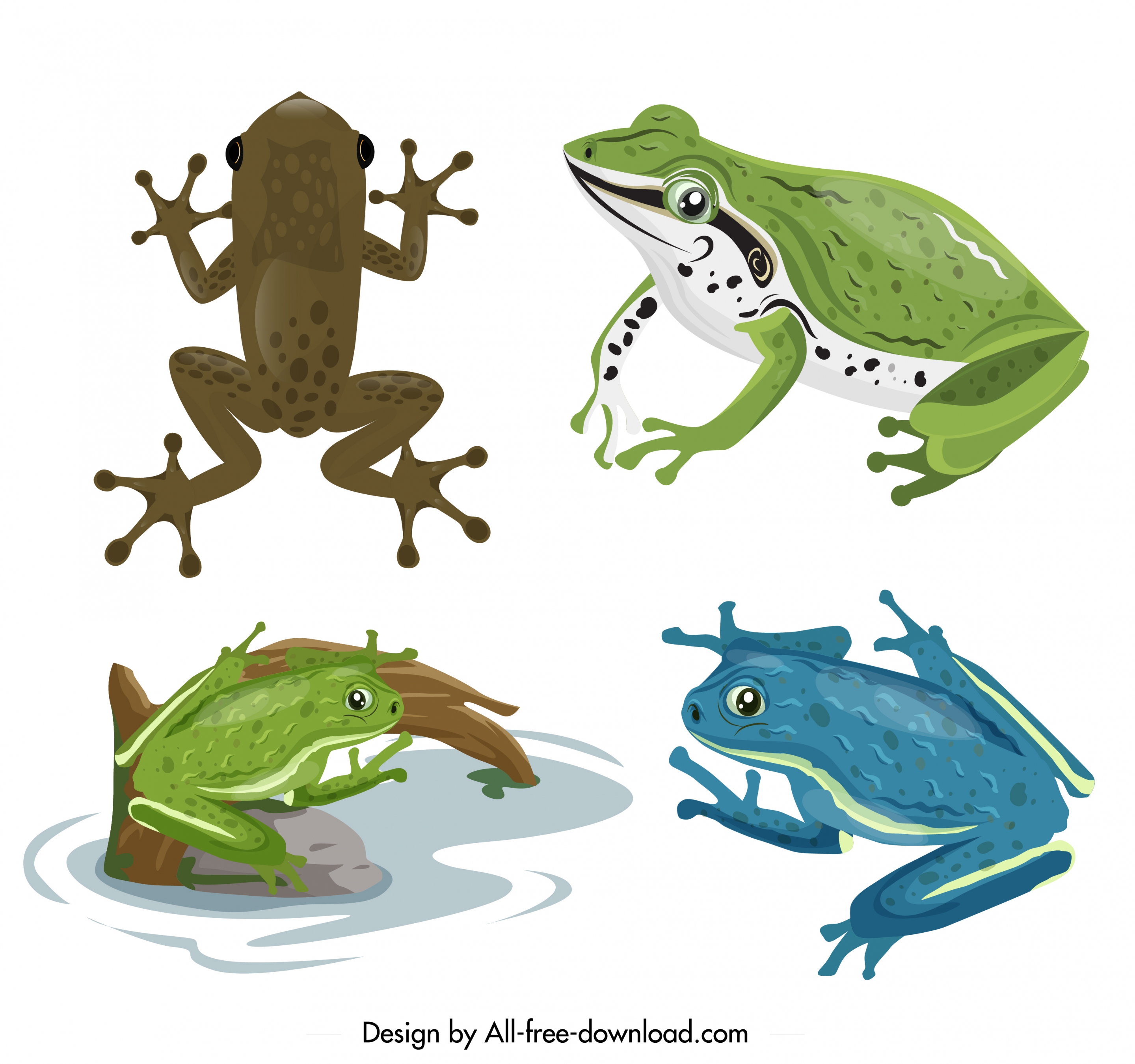 frog toad icons sets colorful design cartoon characters