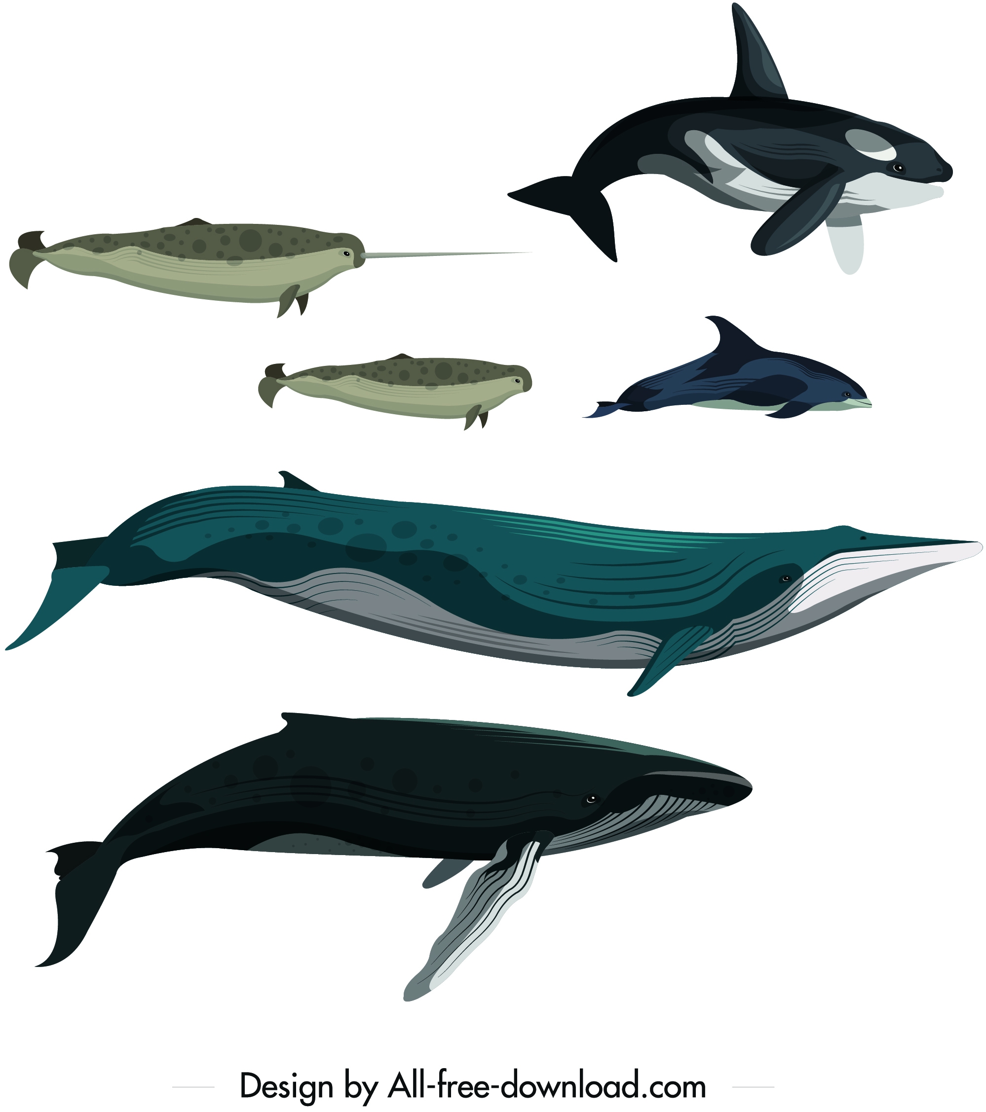 whale fish school drawing colored cartoon sketch