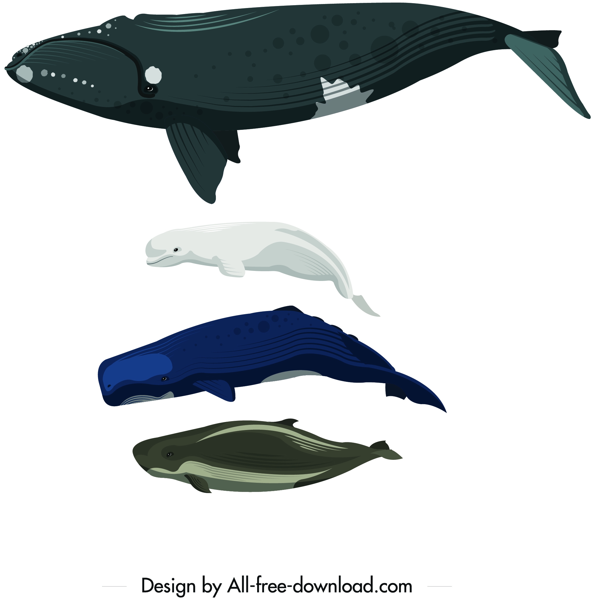 sea creatures icons swimming whale dolphin design