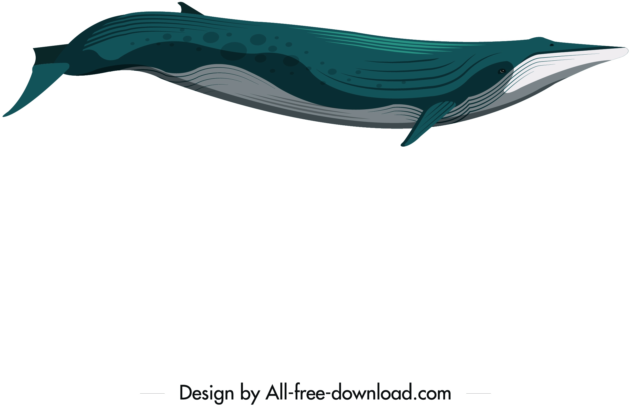 whale animal icon blue white decor motion design