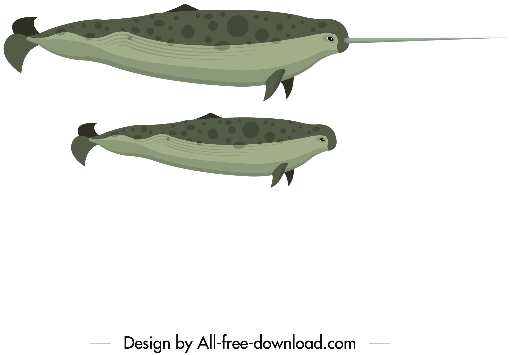 swordfish icons colored cartoon sketch