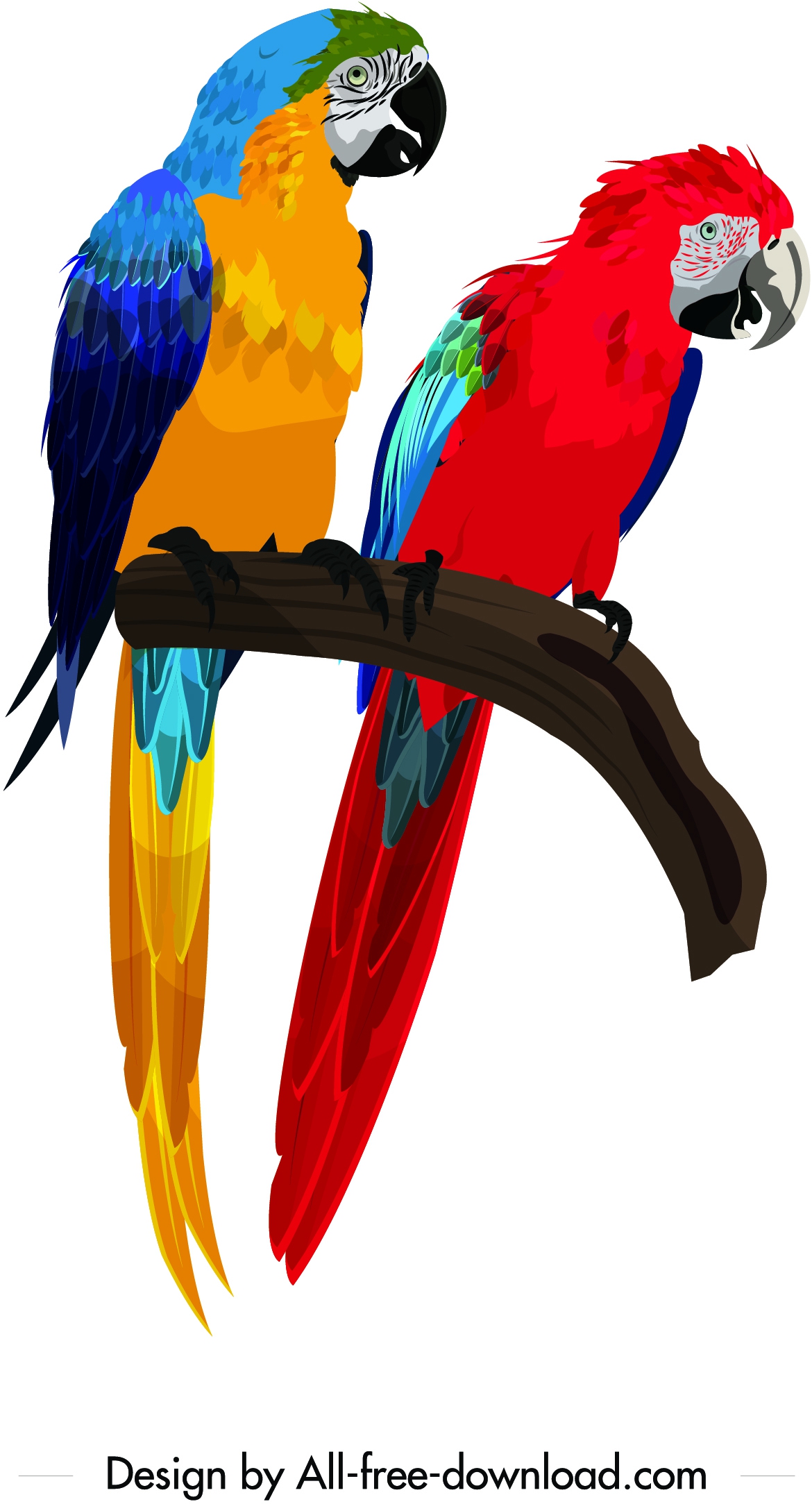 parrot couple painting colorful icons decor cartoon character