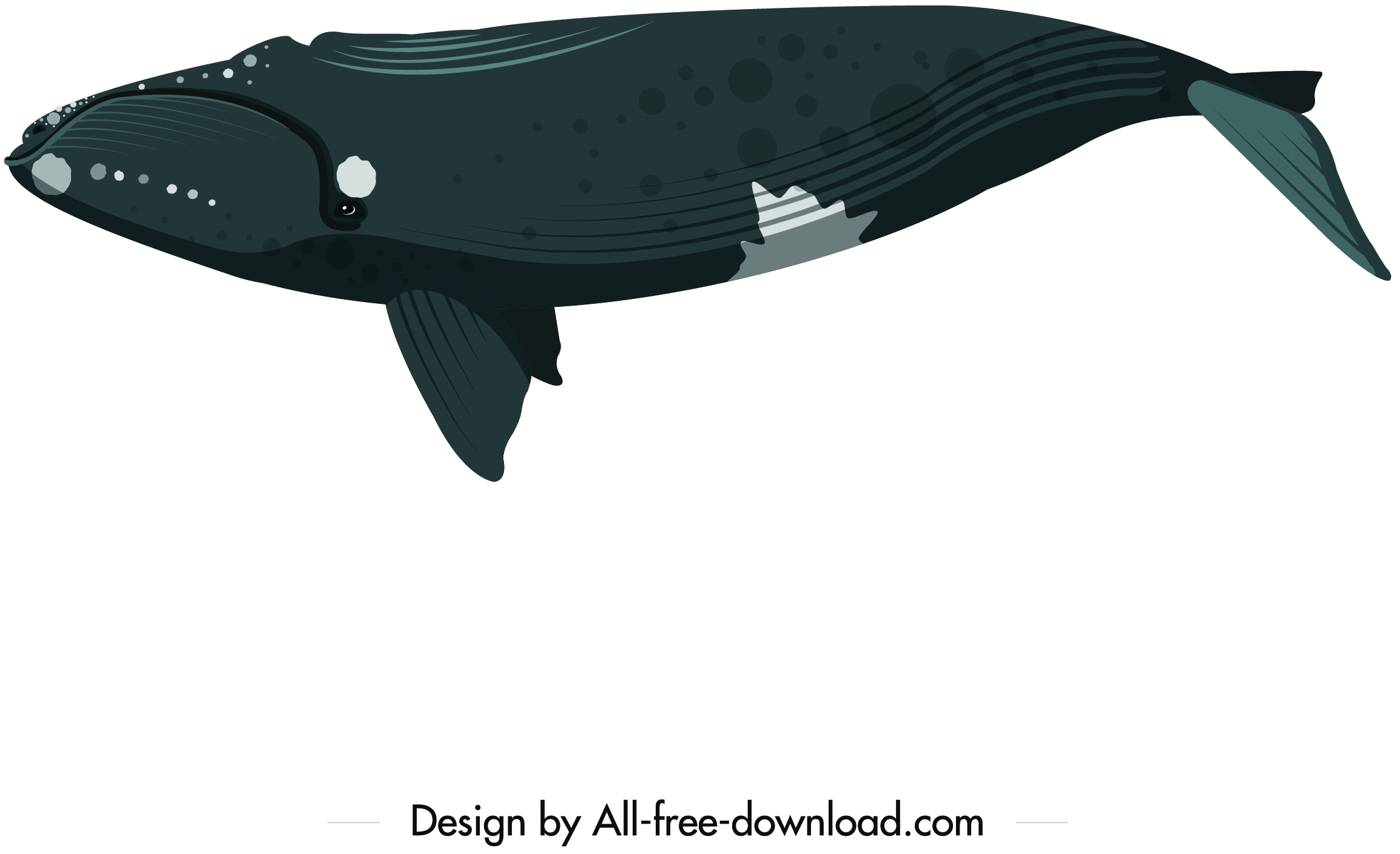 whale icon upside down swimming sketch