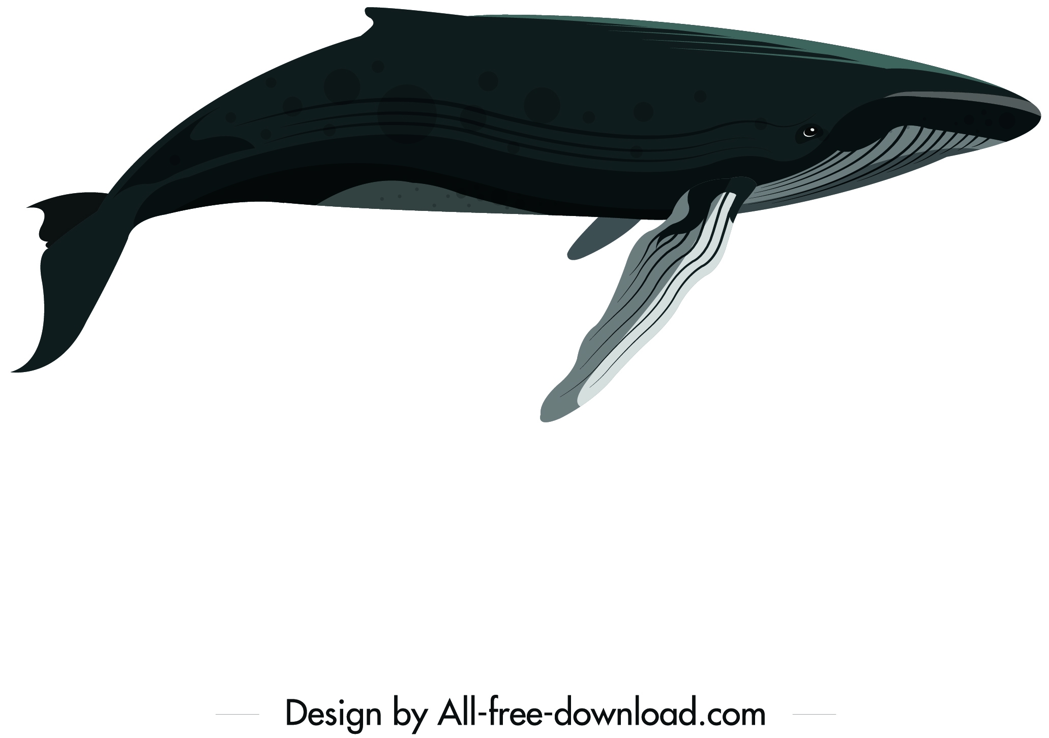 big whale icon colored cartoon sketch