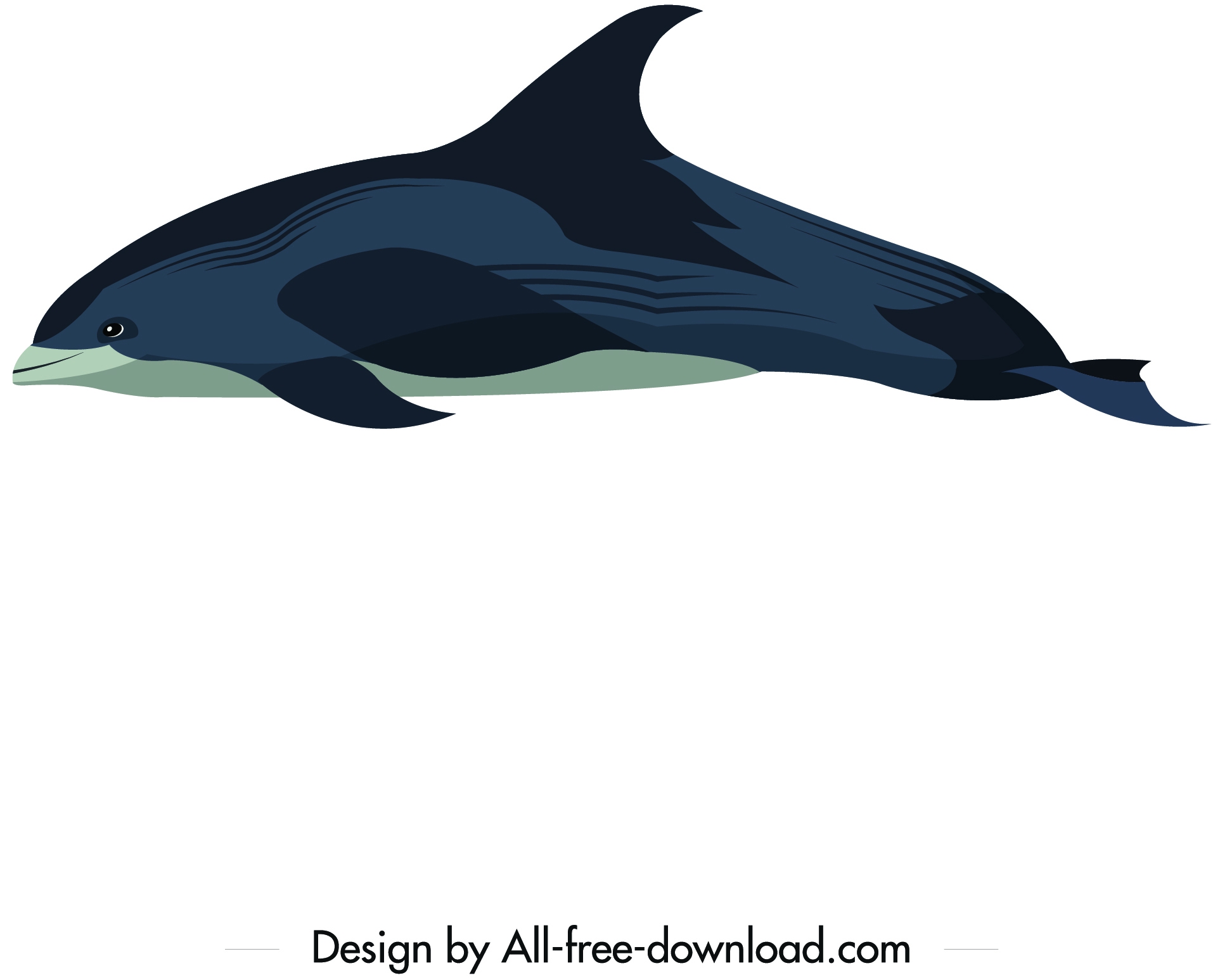 dolphin animal icon colored cartoon sketch