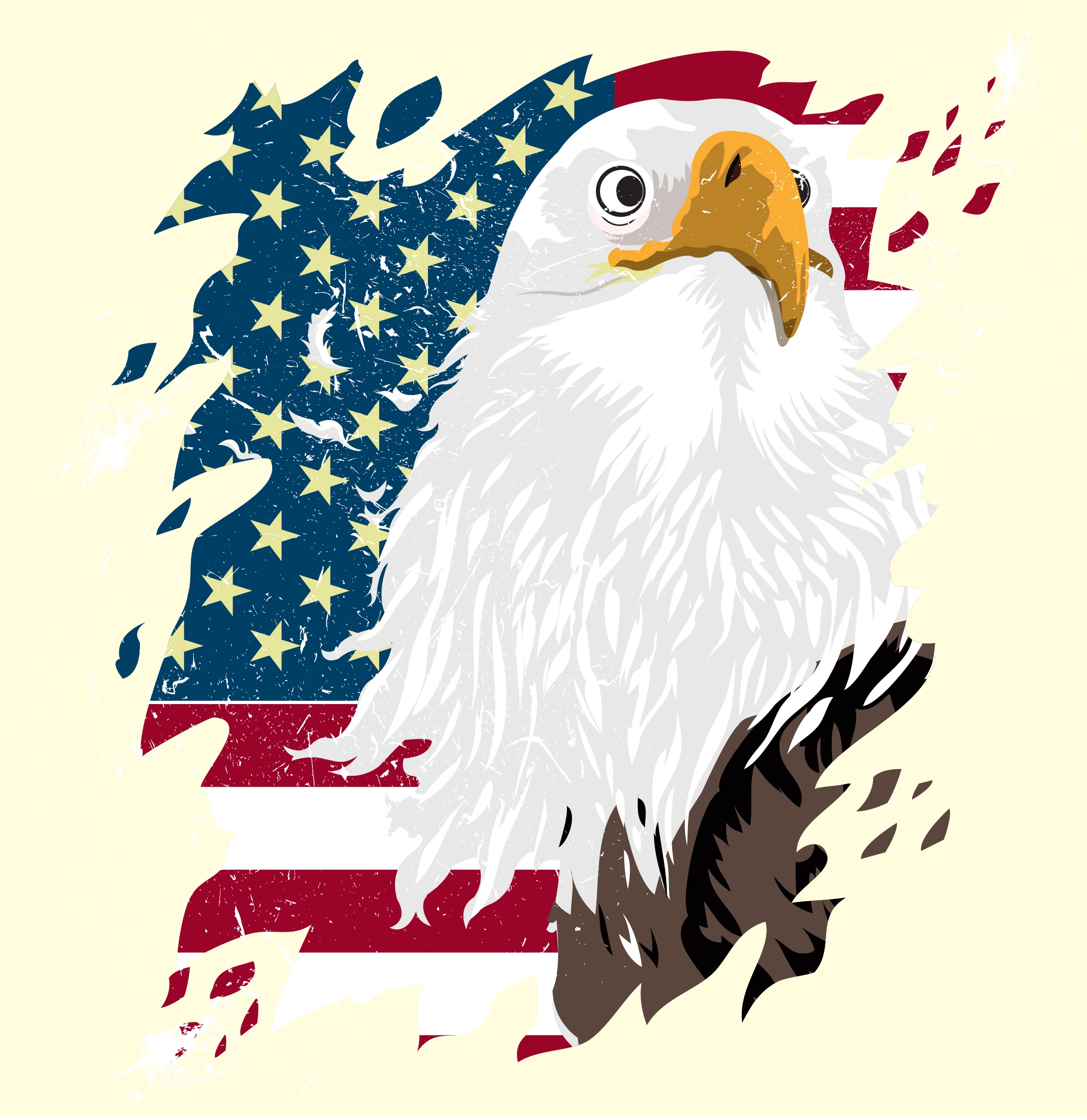 america background flag eagle icons multicolored decor