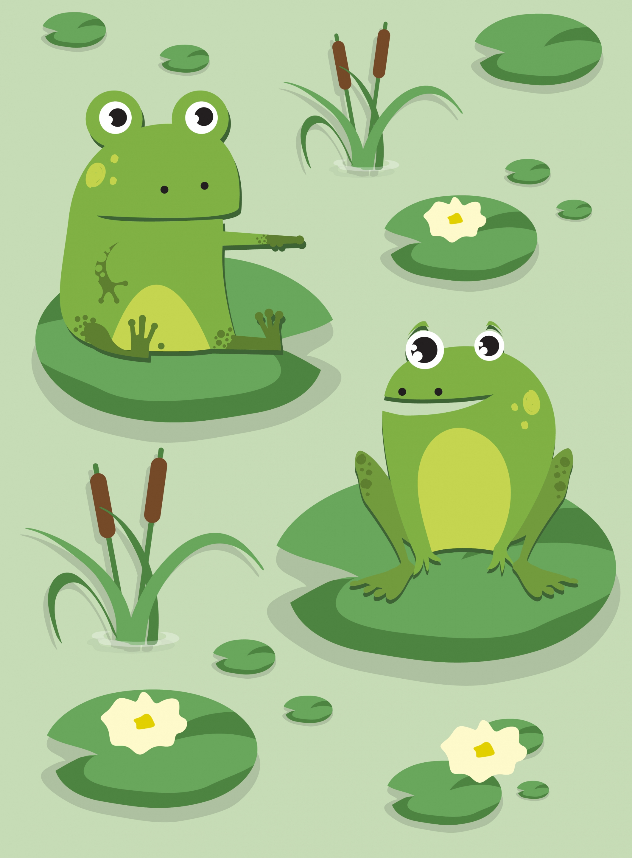 wildlife painting green frog lotus leaves cartoon design