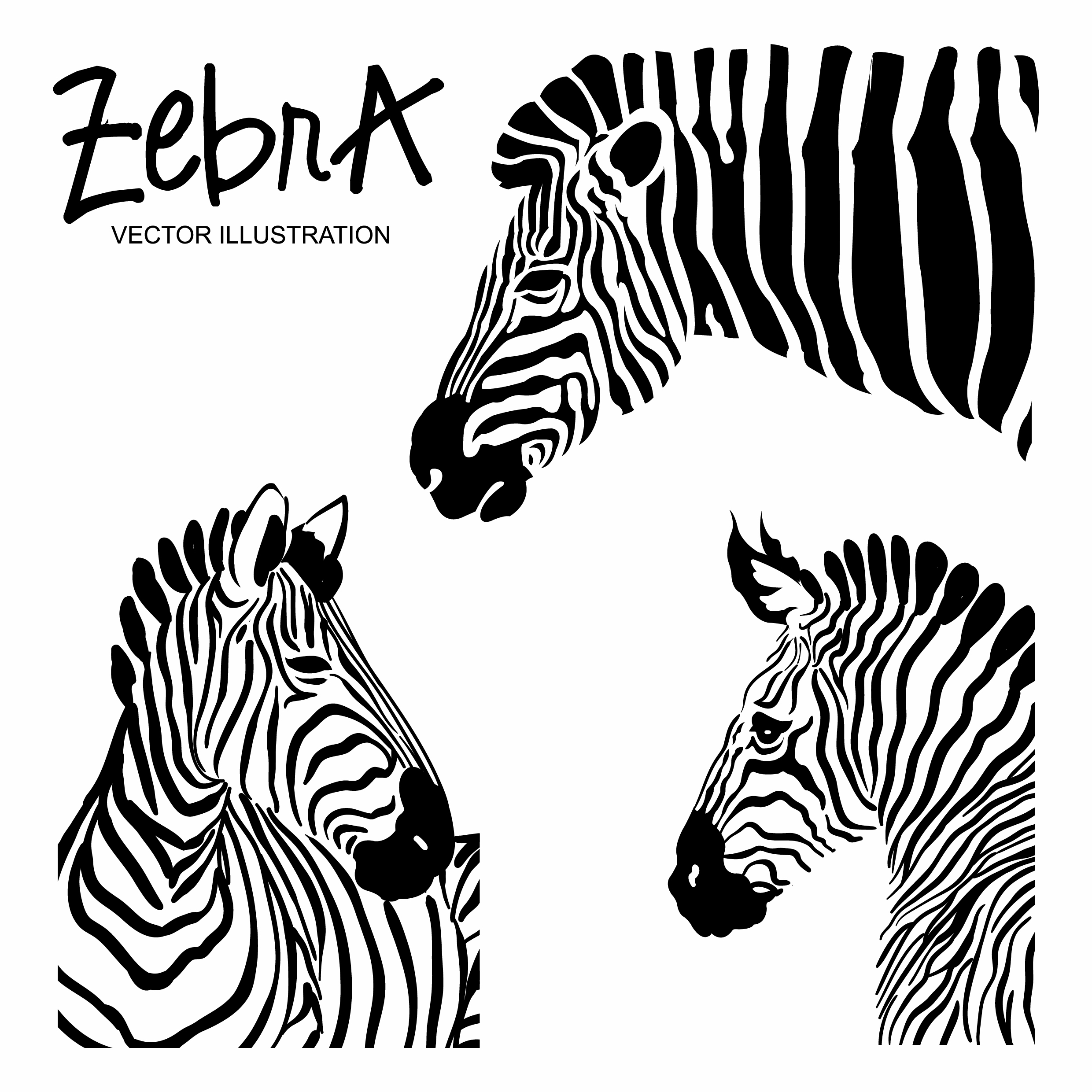 zebra icons black white stripes decoration