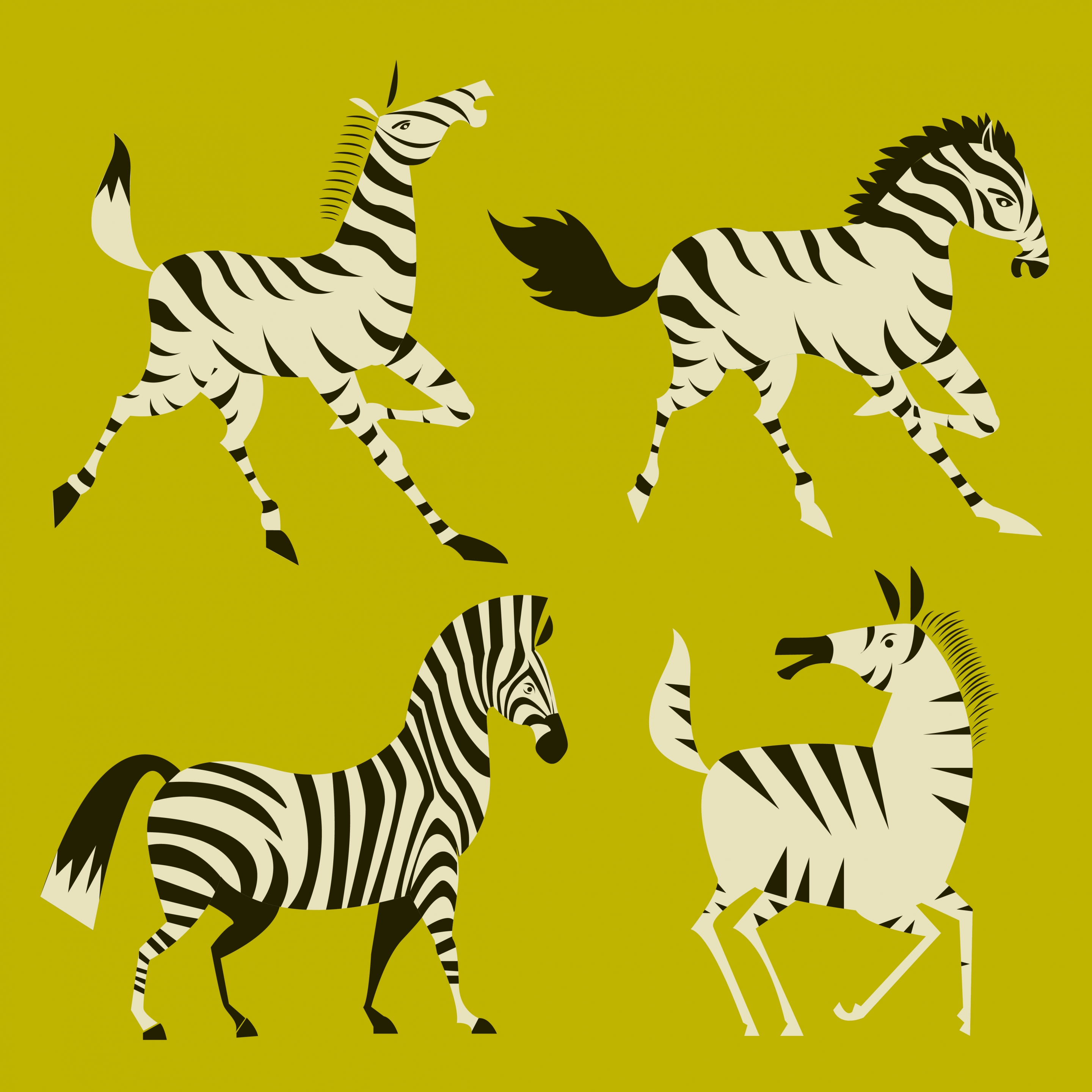 zebra icons collection colored cartoon design