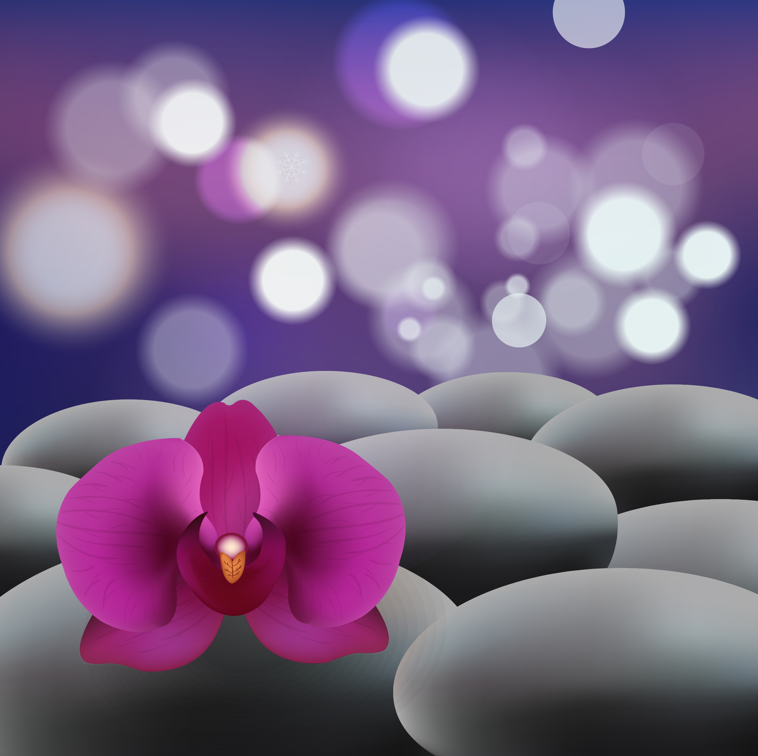 orchid background closeup bokeh decoration